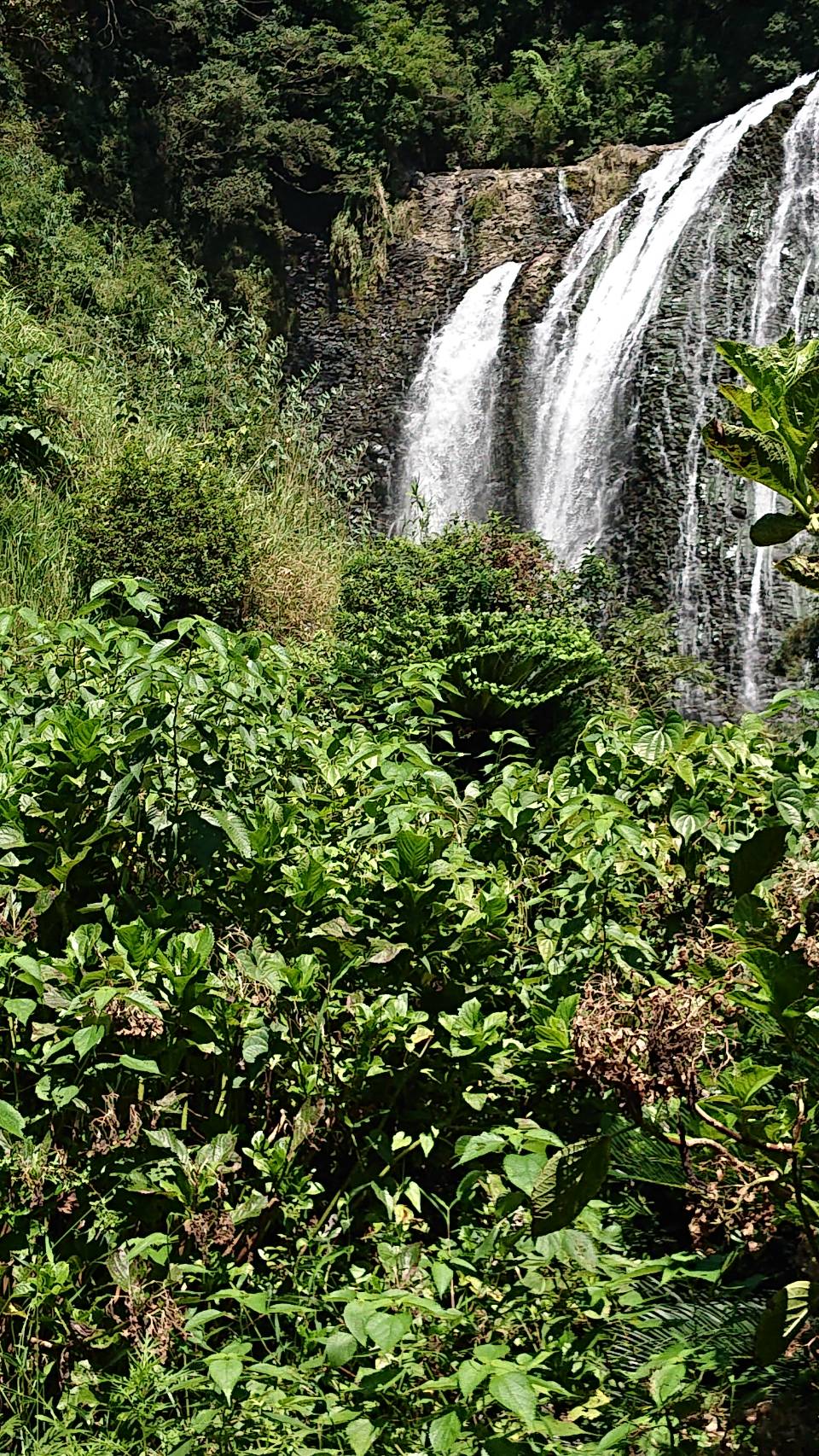 姶良市加治木現場、近くの綺麗な滝